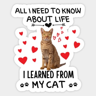 All I Need To Know About Life I Learned From My Cat Sticker